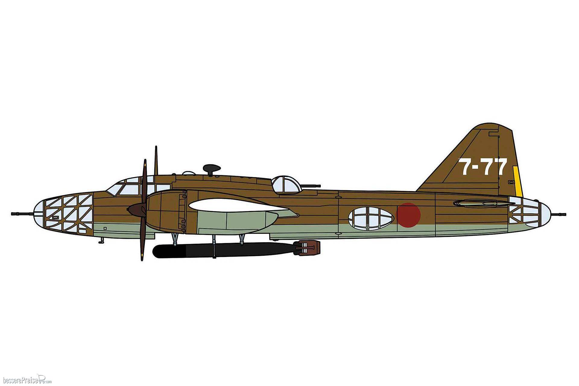 Hasegawa 602529
