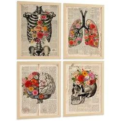 POSTER Set aus 4 Vintage Anatomie und Wandbilder mit Rippen Wirbelsäule Lungen Luftröhre Bronchien Gehirn und Schädel Größe Rahmenlos A4