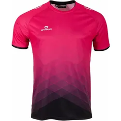 Stanno, Unisex, Sportshirt, Altius Trikot (152), Rot