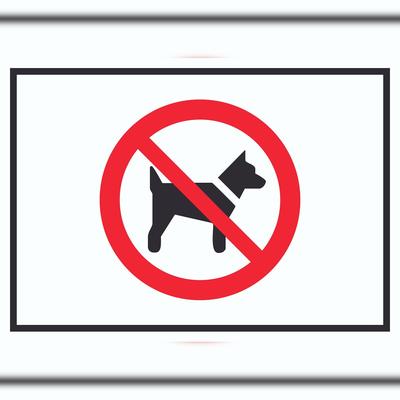 HB-Druck Mitführen von Hunden verboten Symbol Schild A4 (210x297mm)