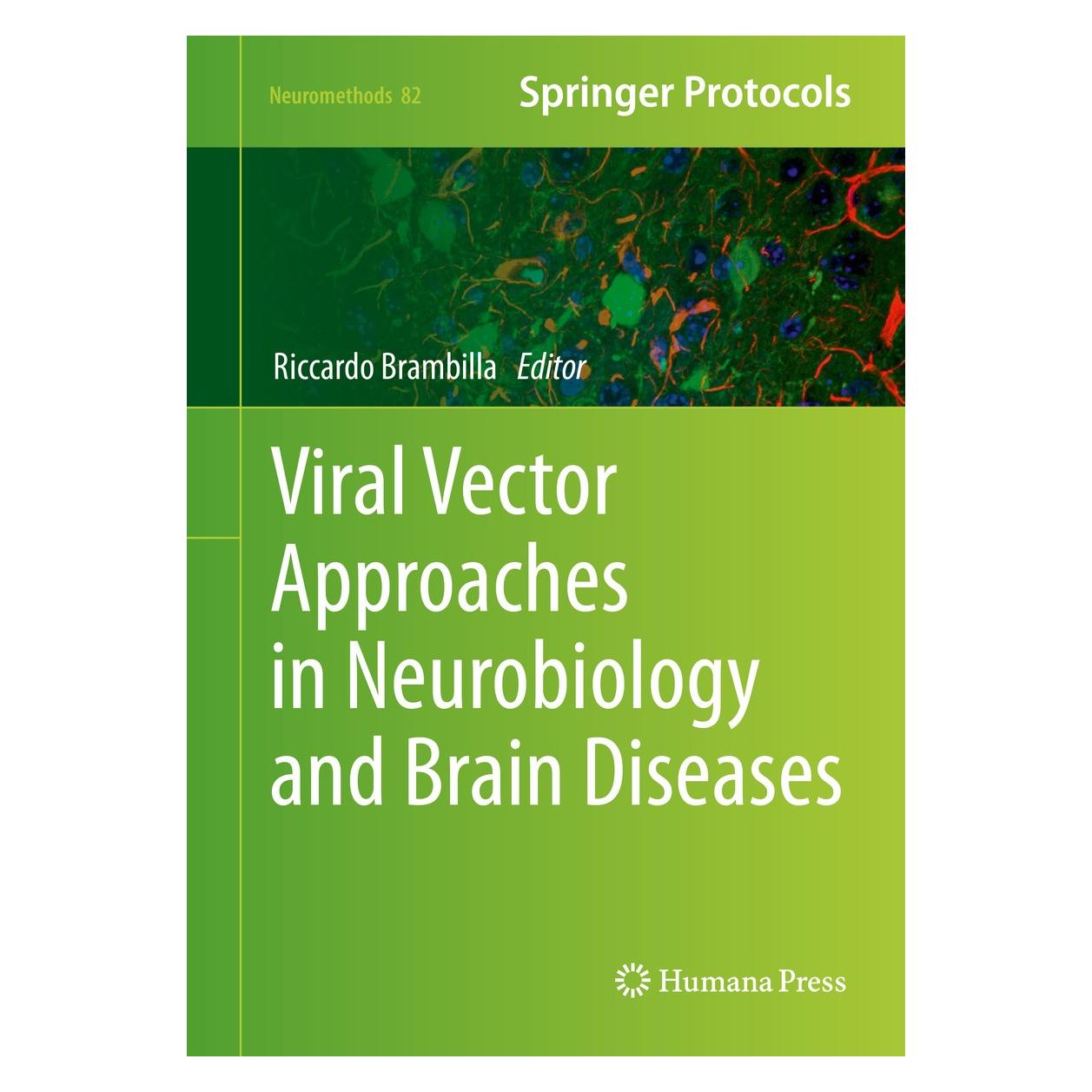 Springer Viral Vector Approaches in Neurobiology and Brain Diseases (Englisch, Hardcover, Riccardo Brambilla) (9781627036092)