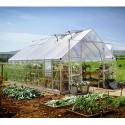 Palram - Canopia Aluminium Gewächshaus Balance 1020 | Silber | 604x304x257 cm - Silber