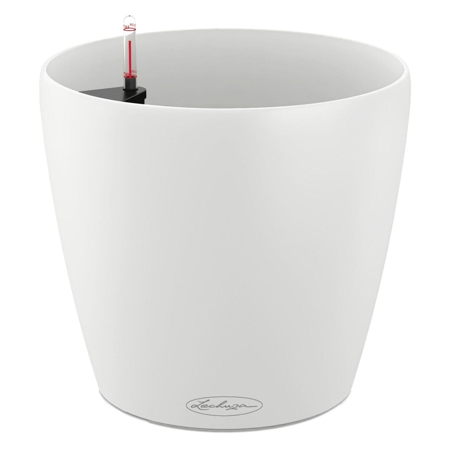 Lechuza Classico Color (27.50 x 26 cm) (13190)