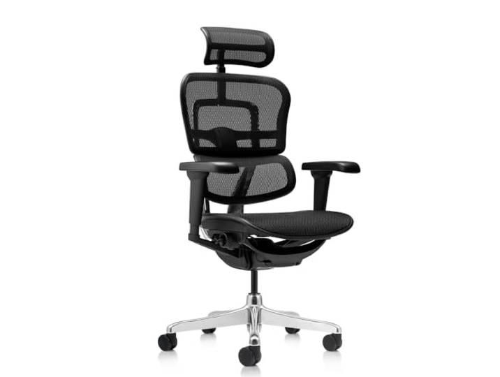 hjh OFFICE Bürostuhl ergonomisch ERGOHUMAN Ultra GEN2 Originales Design, Bürosessel mit Flexibler Lendenwirbelstütze, Netzbespannung, Schwarz