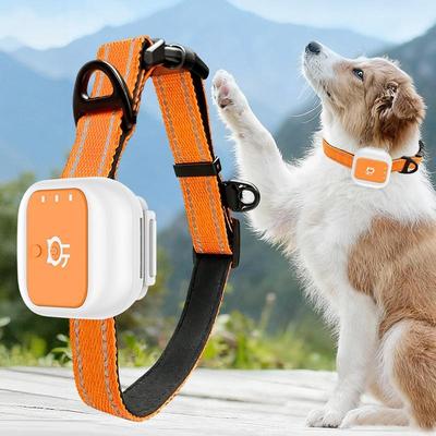 Everyday Crate SafePaw 4G GPS Pet Tracker Collar With Real Time Location, SOS Alert & Virtual Fence SafePaw 4G GPS Pet Tracker Collar With Real Time Location, SOS Alert & Virtual Fence