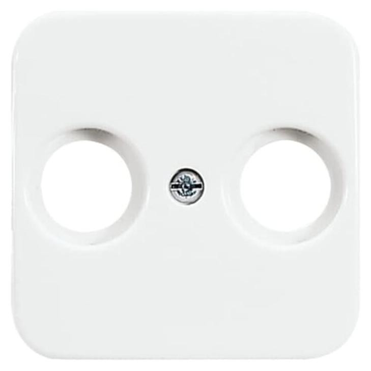 Busch-Jaeger Centrale plaat AWS 2531-214