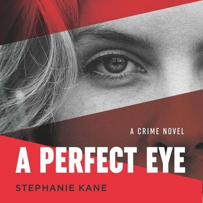A Perfect Eye - Stephanie Kane, Audio, 9781949278392