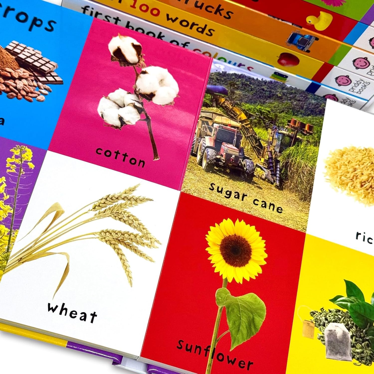 Priddy Books Priddy First 100 Library Collection 7 Books Box Set by Roger Priddy - Board Books - Ages 0-5 - Words, Numbers, Shapes, Colours & Trucks Early Learning Set
