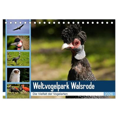 Weltvogelpark Walsrode - Die Vielfalt der Vogelarten (Tischkalender 2026 DIN A5 quer), CALVENDO Monatskalender