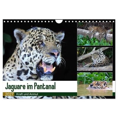 Jaguare im Pantanal (Wandkalender 2027 DIN A4 quer), CALVENDO Monatskalender