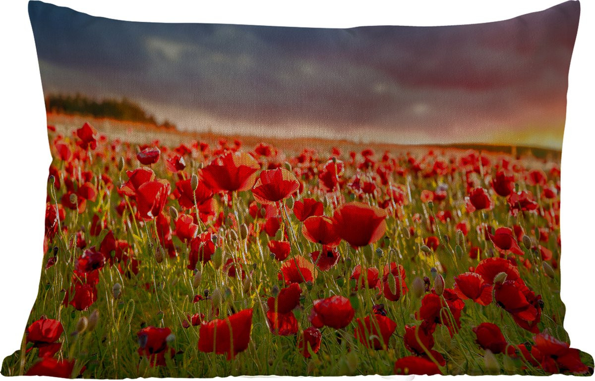 Weerbestendige buitenkussens met klaprozenmotief in rood, 60 x 40 cm