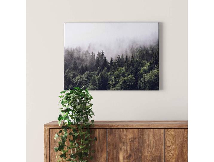 Impression sur toile Foggy Forest Polyester PVC / Épicéa Vert 70 x 50cm