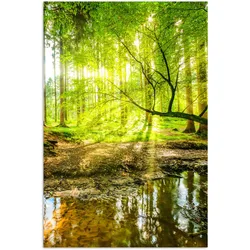 POSTER Wald - Landschaft - Wasser - Bäume - Sonne - Grün - Natur Room Decor 20x30 cm