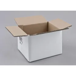 Nestler Wellpapp-Faltkartons 2-wellig weiß 21,0 x 15,0 x 13,0 cm
