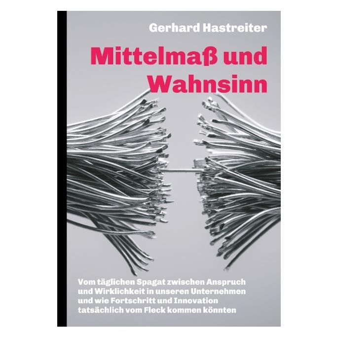 Bod Hastreiter:MittelmaÃ und Wahnsinn (Deutsch, Hardcover, Gerhard Hastreiter) (67869098)