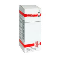 LEDUM EXTERN Tinktur 20 ml