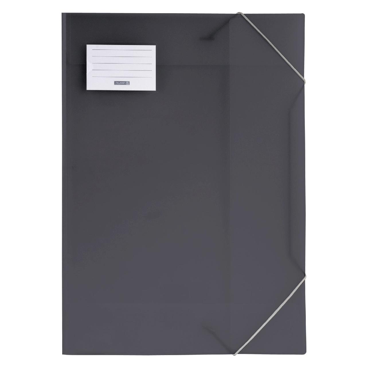 Brunnen Zeichenmappe FACT!pp DIN A3 grau transparent (A3, 1x) (104705380)