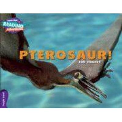 Cambridge Reading Adventures Pterosaur! Purple Band, Taschenbuch von Jon Hughes, Cambridge Academic, 978-1-107-55108-4