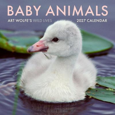 2027 Baby Animals Wall Calendar