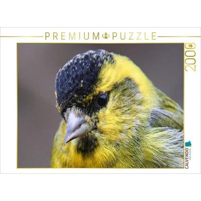 CALVENDO Puzzle Erlenzeisig-Portrait | 2000 Teile Lege-Größe 90x67cm Foto-Puzzle für glückliche Stunden, von , Calvendo Puzzle