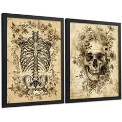 POSTER Set aus 2 Anatomie Mensch Drucke und Wandbilder mit Schädel Wirbelsäule Rippen Becken Klassisches Vintage Design Größe Schwarzer Rahmen A4
