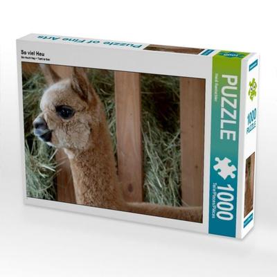 CALVENDO Puzzle Alpaka im Heu | 1000 Teile Lege-Größe 64x48cm Foto-Puzzle für glückliche Stunden