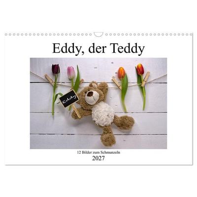 Eddy, der Teddy - 12 Bilder zum Schmunzeln (Wandkalender 2027 DIN A3 quer), CALVENDO Monatskalender