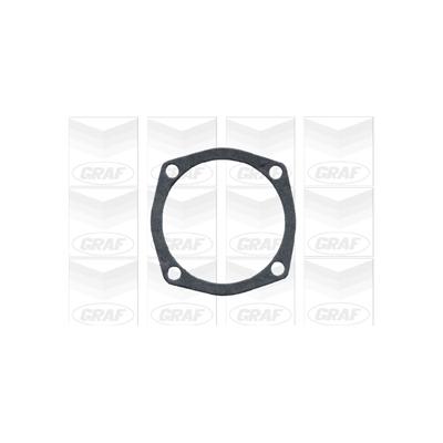 GRAF Wasserpumpe pa101 für ALFA ROMEO NISSAN