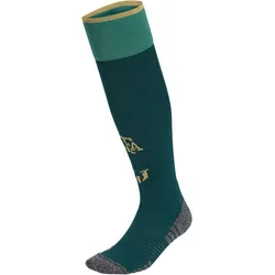 adidas AFA Argentinien Messi Stutzen WM 2026 Herren KG2283 - aurora ivy 34-36
