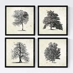 POSTER Set mit 4 Obstbäume ohne 30x30 cm Rahmenlos