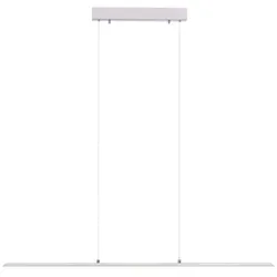 Neuhaus PURE LED-Pendelleuchte Pure Lite Alu, Eisen, Stahl & Metall Schwarz gebürstet 100 cm