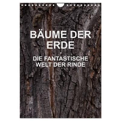 BÄUME DER ERDE - DIE FANTASTISCHE WELT DER RINDE (Wandkalender 2026 DIN A4 hoch), CALVENDO Monatskalender