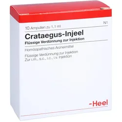 Crataegus-Injeel