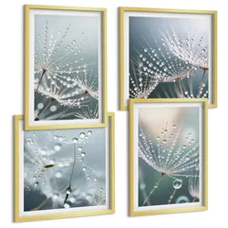 BILDER SET 4er Set - 50x50 cm & 40x60 cm Goldrahmen - Wassertropfen auf Löwenzahnsprossen