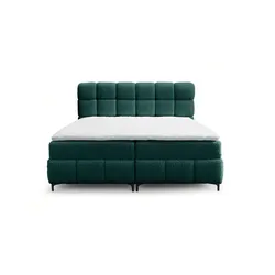 BOXBETT Sophie In Rolf