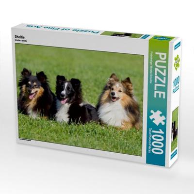CALVENDO Puzzle Sheltie | 1000 Teile Lege-Größe 64x48cm Foto-Puzzle für glückliche Stunden