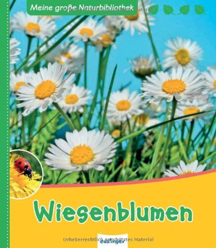 Svenja Ernsten - Wiesenblumen - Preis vom 09.10.2026 07:28:09 h