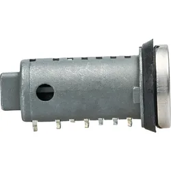 STS 2 Schliesszylinder und 2 Schlüssel für STS / Zadi Verschlüsse
