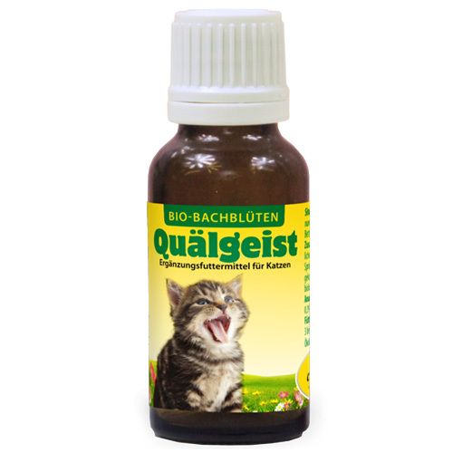 Bachblüten Quälgeist flüssig f.Katzen 20 ml Flüssigkeit