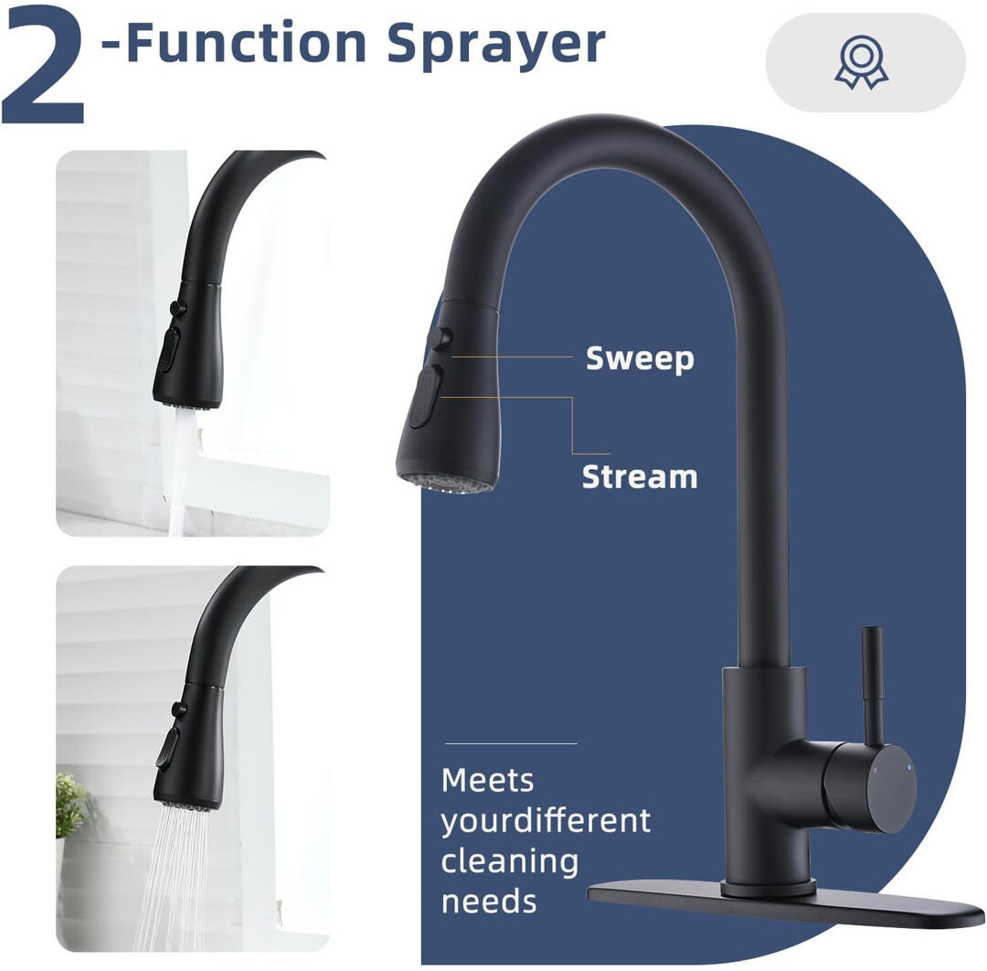 Belfry Kitchen Aliff Kitchen Faucet Side Spray Matte Black 20.8cm