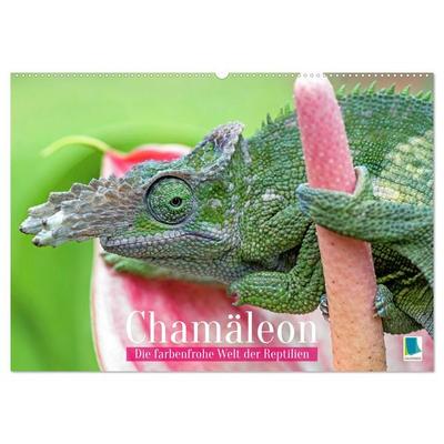 Chamäleon: Die farbenfrohe Welt der Reptilien (Wandkalender 2027 DIN A2 quer), CALVENDO Monatskalender