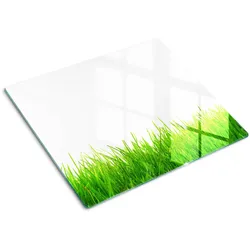 GLASPLATTE 60x52 cm Gras
