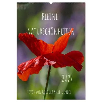 Kleine Naturschönheiten (Wandkalender 2027 DIN A2 hoch), CALVENDO Monatskalender