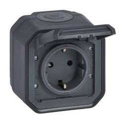 Legrand Schutzkontakt-Steckdose 069783L