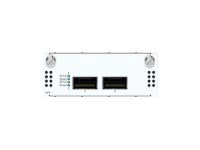 Sophos FleXi Port - Erweiterungsmodul - 40 Gigabit (XSBZTCHF2)