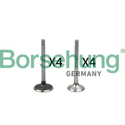 BORSEHUNG Ventilsatz, Einlass-/Auslassventil B18766 für VAG