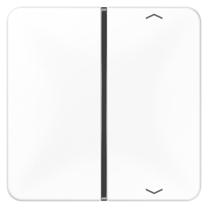 JUNG Wippe 1t Jalousie CD aws glz Pfeile CD401TSAPWW (CD401TSAPWW)
