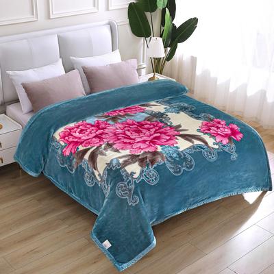 JML Raschel A&B Printed 2-ply Reversible Korean-style Plush Fleece Blanket