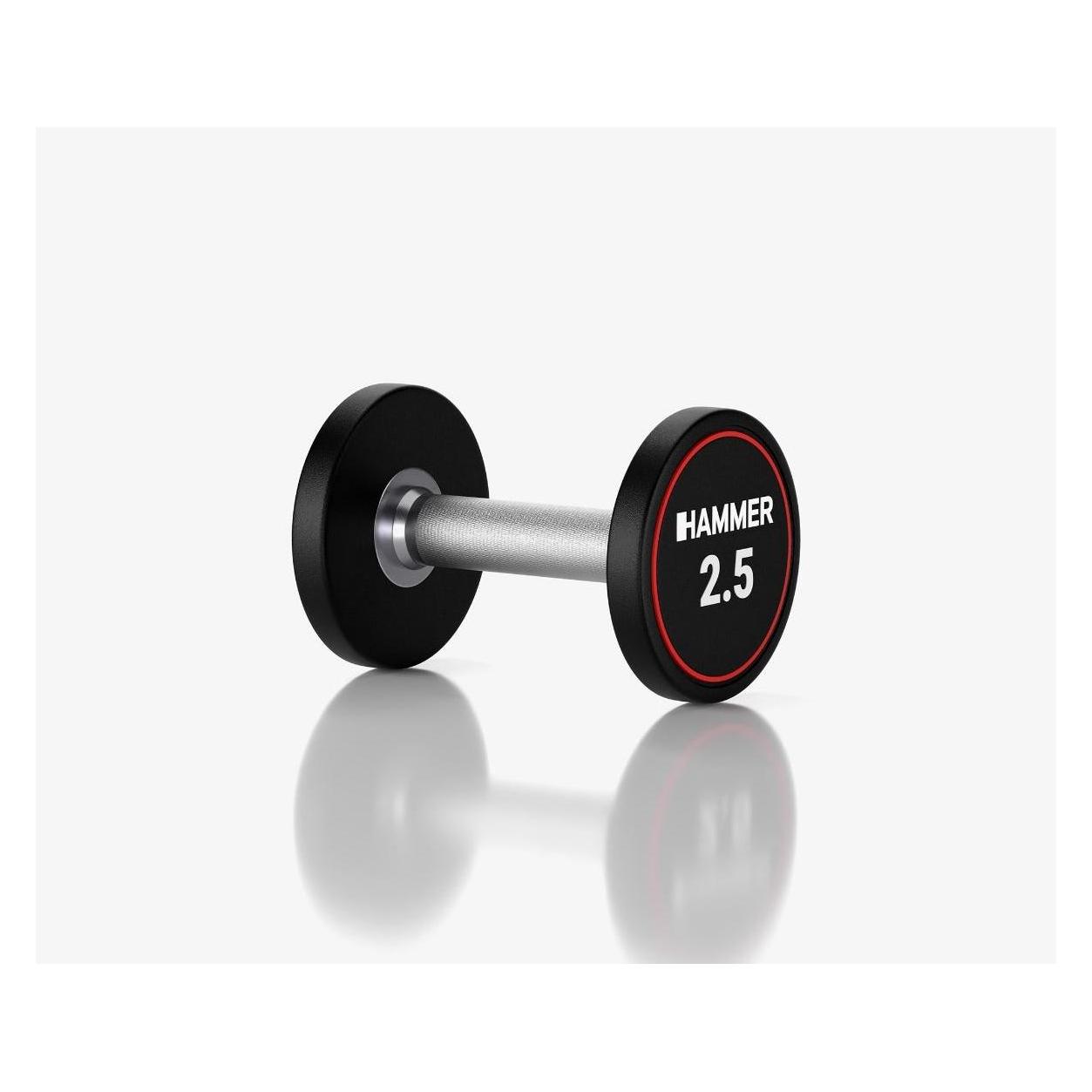 Hammer Fitness Kompakthantel PU 2,5 kg (1 x 2.5 kg) (17420)