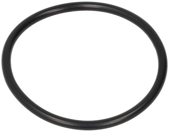 Zf O-ring, cambio 0634100275